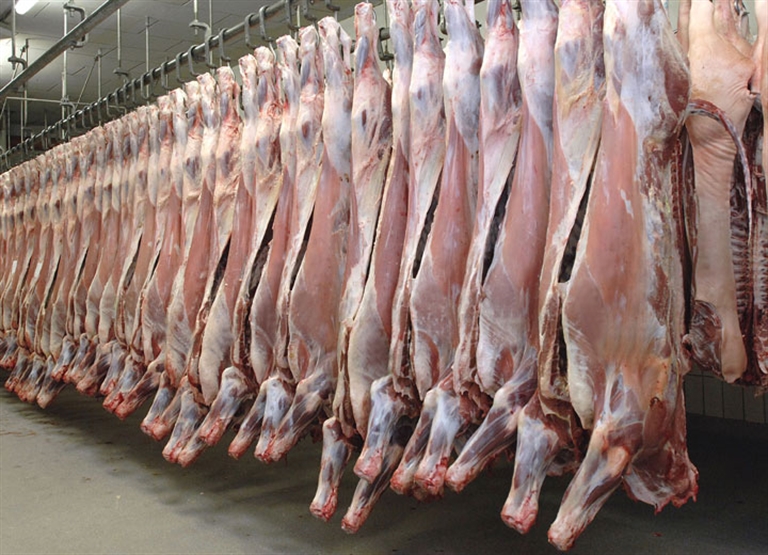 ترطيب المجازر