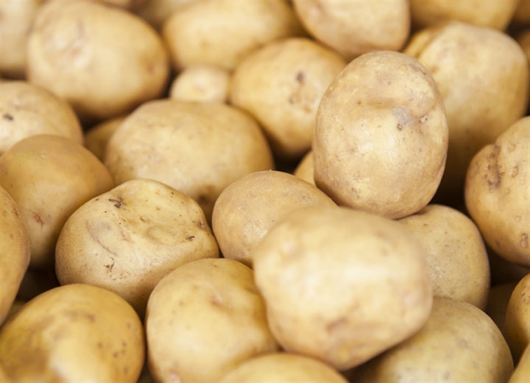 ترطيب مخازن التخزين البارد